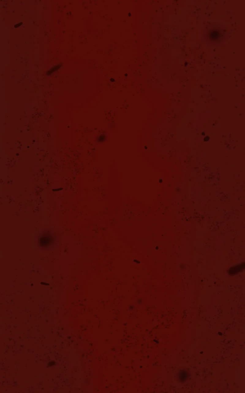 Ordeal chapter 125, page 81